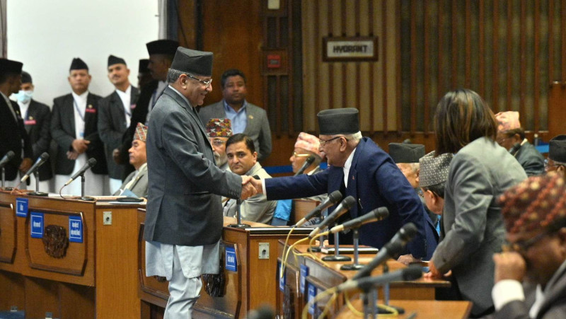 'बजेट' पारित गर्दा किन मत विभाजनमा गयो संसद ?